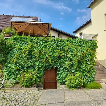 Wolfsbergblick Apartment Reinhardtsdorf-Schona Екстериор снимка