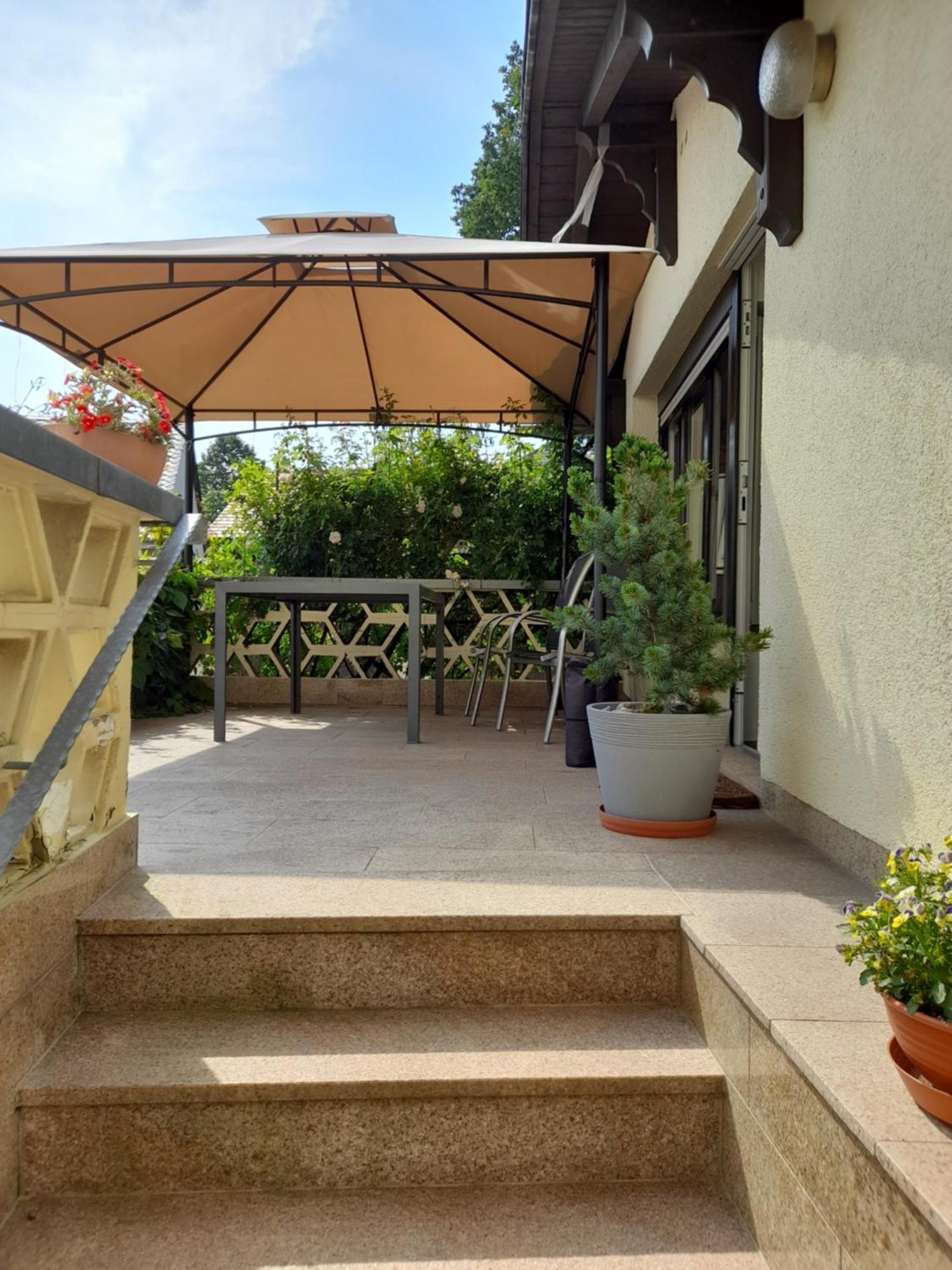 Wolfsbergblick Apartment Reinhardtsdorf-Schona Екстериор снимка