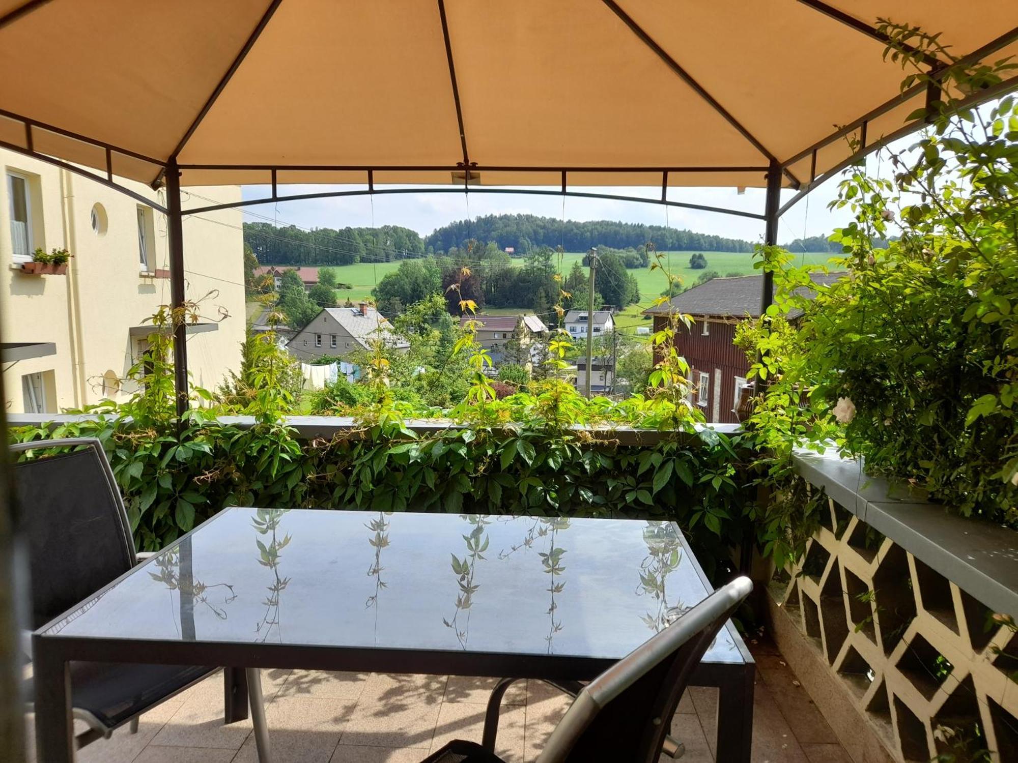 Wolfsbergblick Apartment Reinhardtsdorf-Schona Екстериор снимка