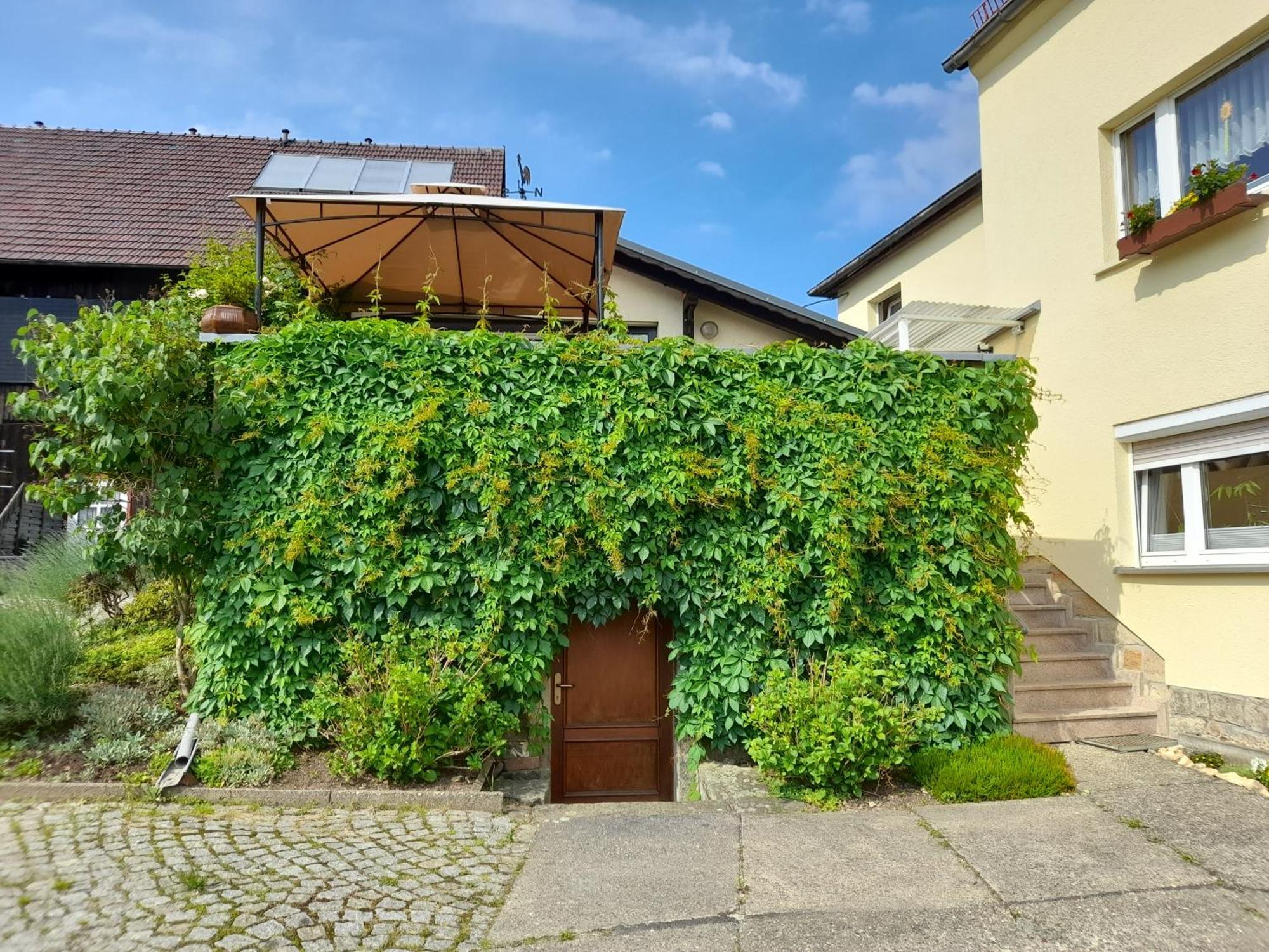 Wolfsbergblick Apartment Reinhardtsdorf-Schona Екстериор снимка